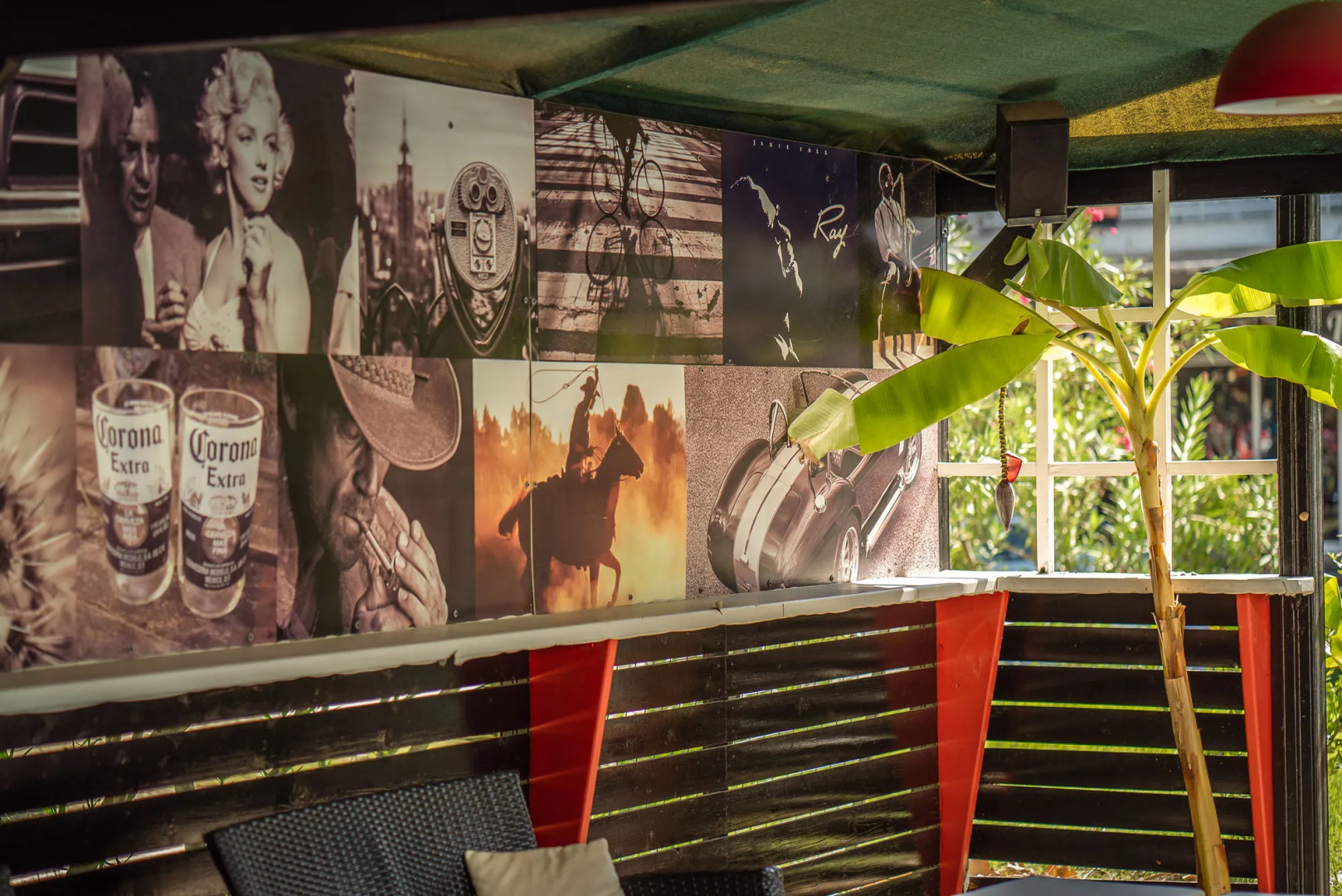 Foto - Cactus Hotel-NEW