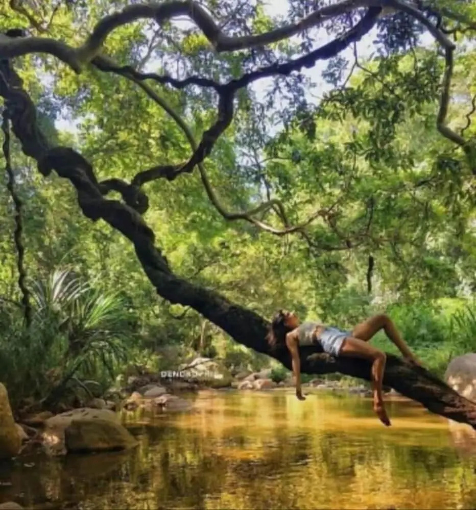 Photo - Sunrise City Palace