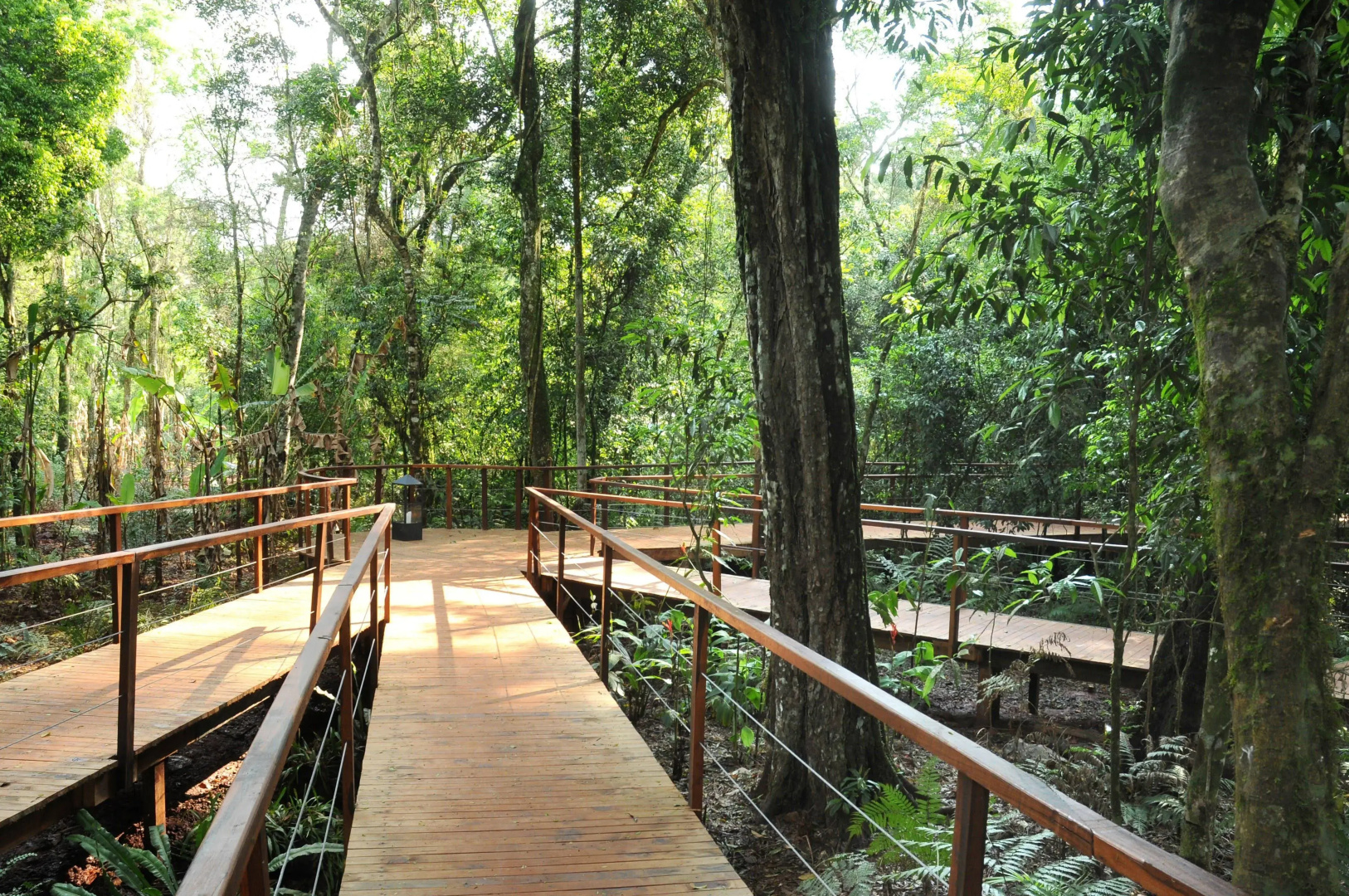 Foto - La Reserva Virgin Lodge