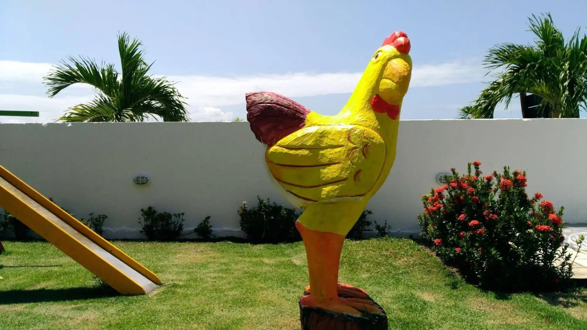 Photo - Pousada Familly Porto de Galinhas