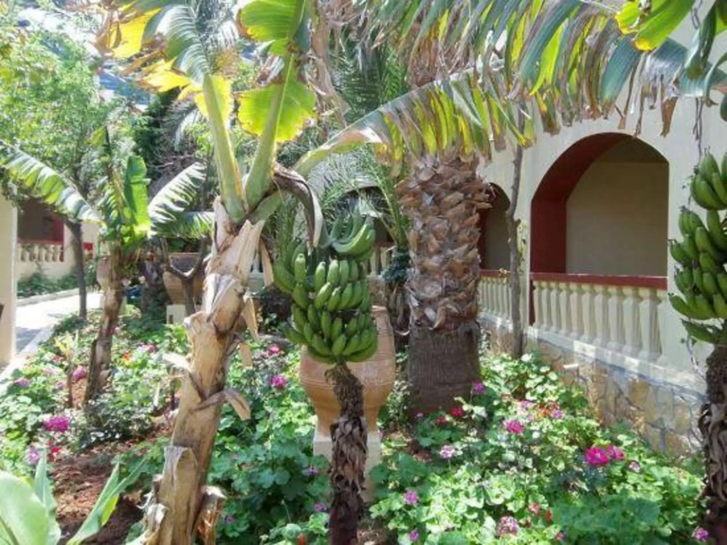 Photo - Palm Bay Hotel