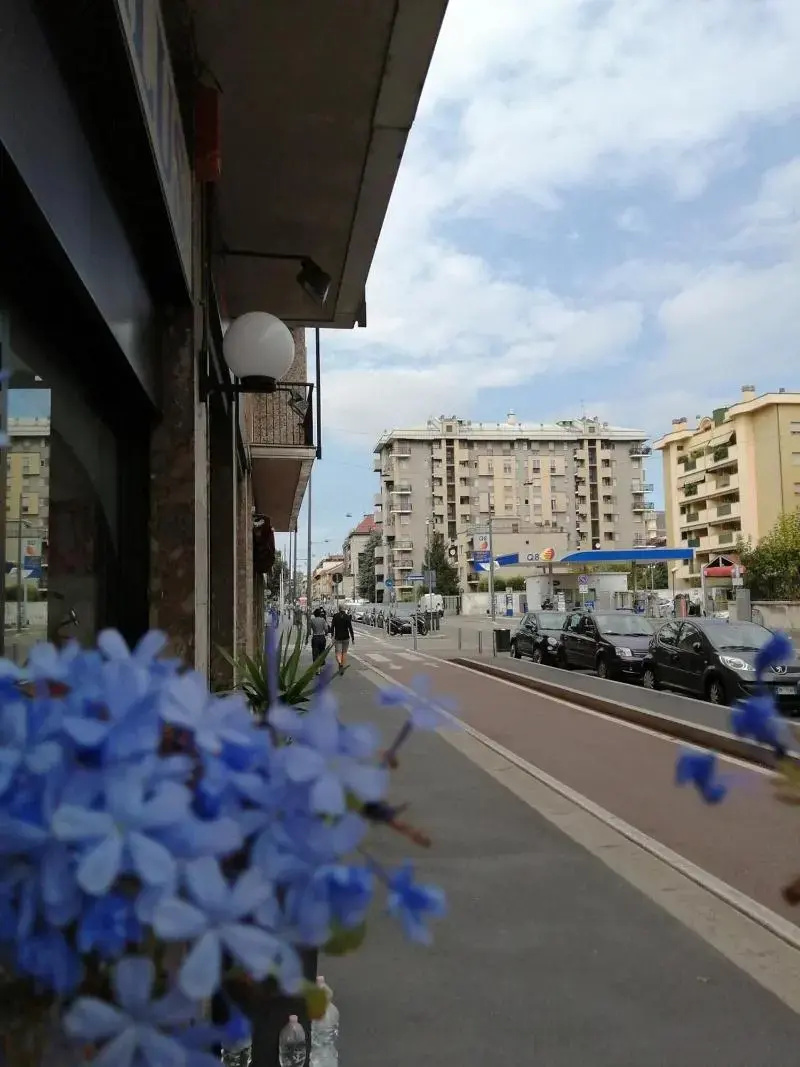 Foto - Hotel Salus