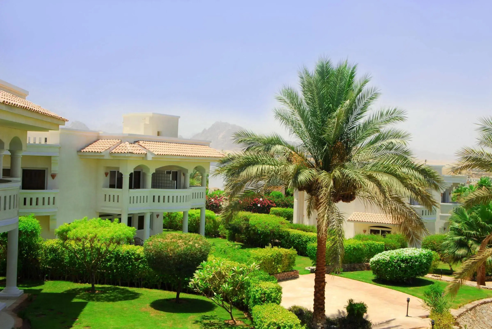 Foto - Naama Bay Hotel & Resort