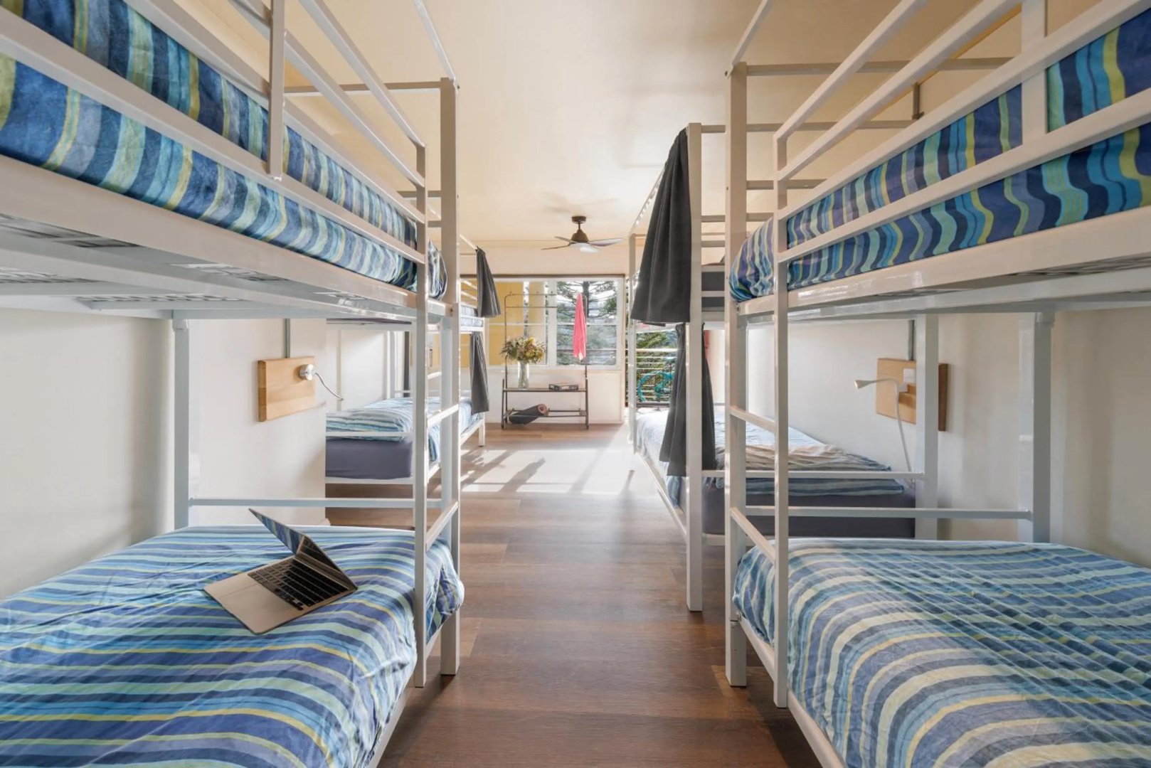 Photo - Mad Monkey Coogee Beach Hostel
