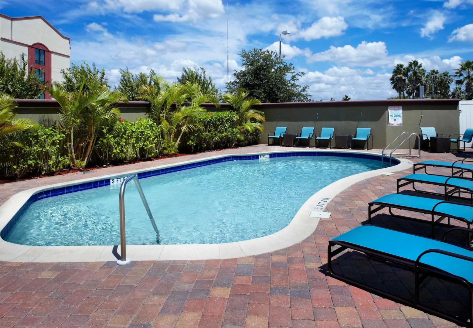 Foto - Residence Inn Tampa Oldsmar