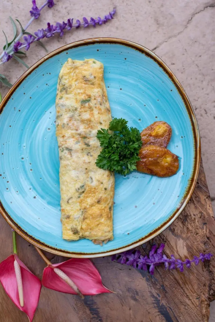 Foto - Buena Vista Chic Hotel