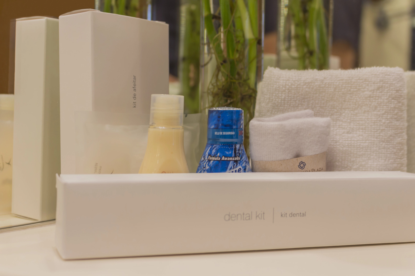 Foto - Hotel Guadalajara Plaza Expo