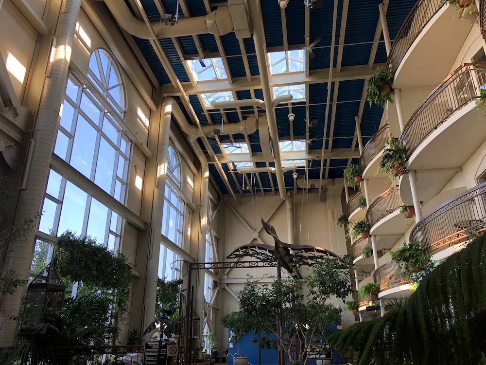 Foto - Hotel L'Oie des neiges