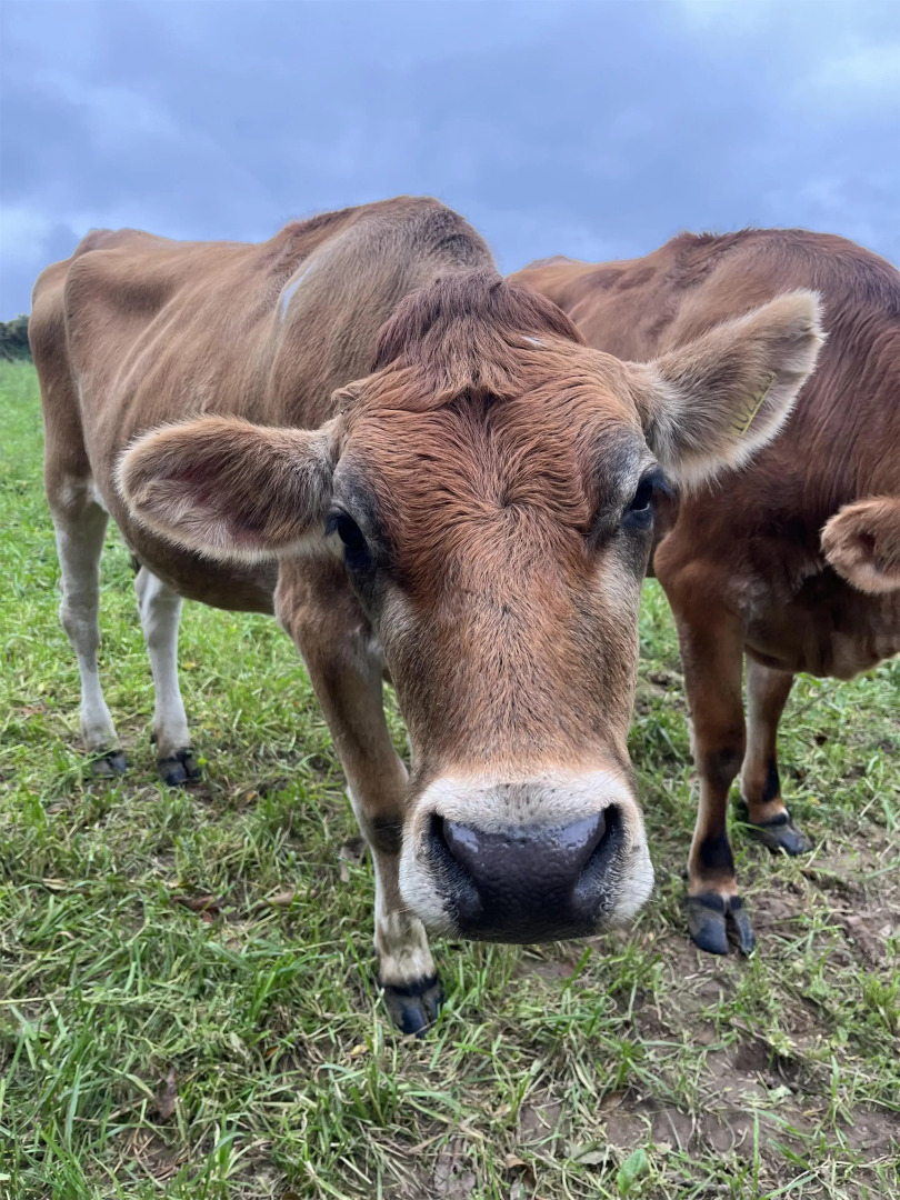 Photo - Radisson Blu Waterfront Hotel, Jersey