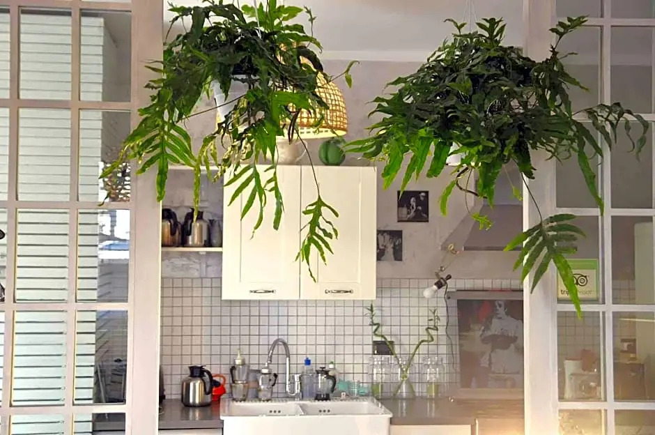 Photo - B&B La Volpina