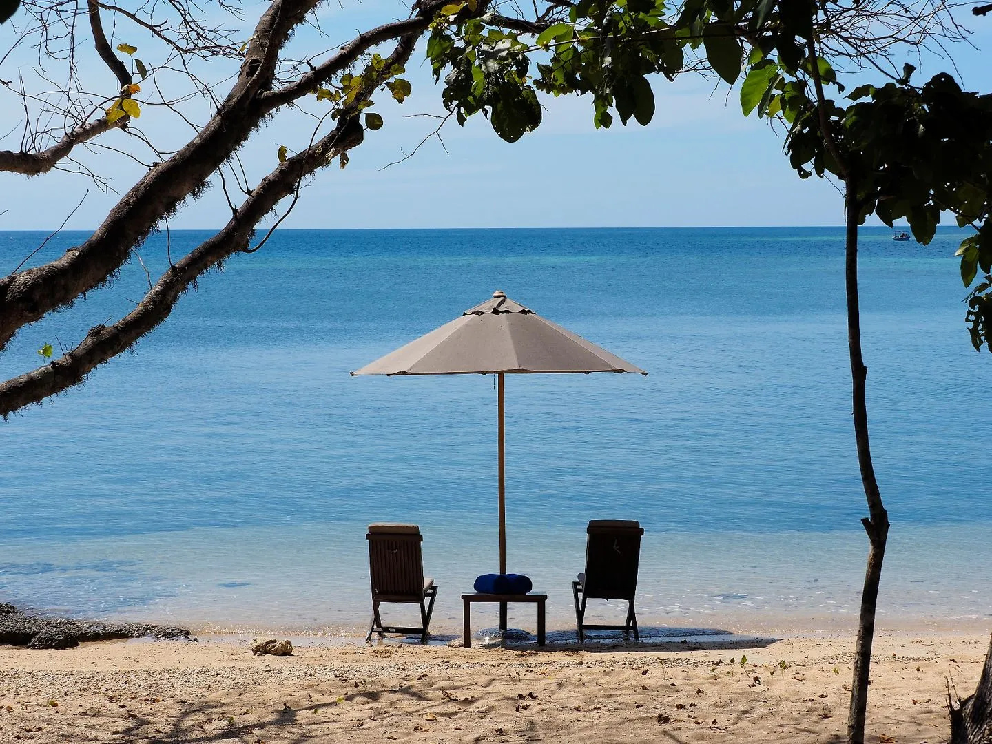 Photo - The Menjangan by LifestyleRetreats