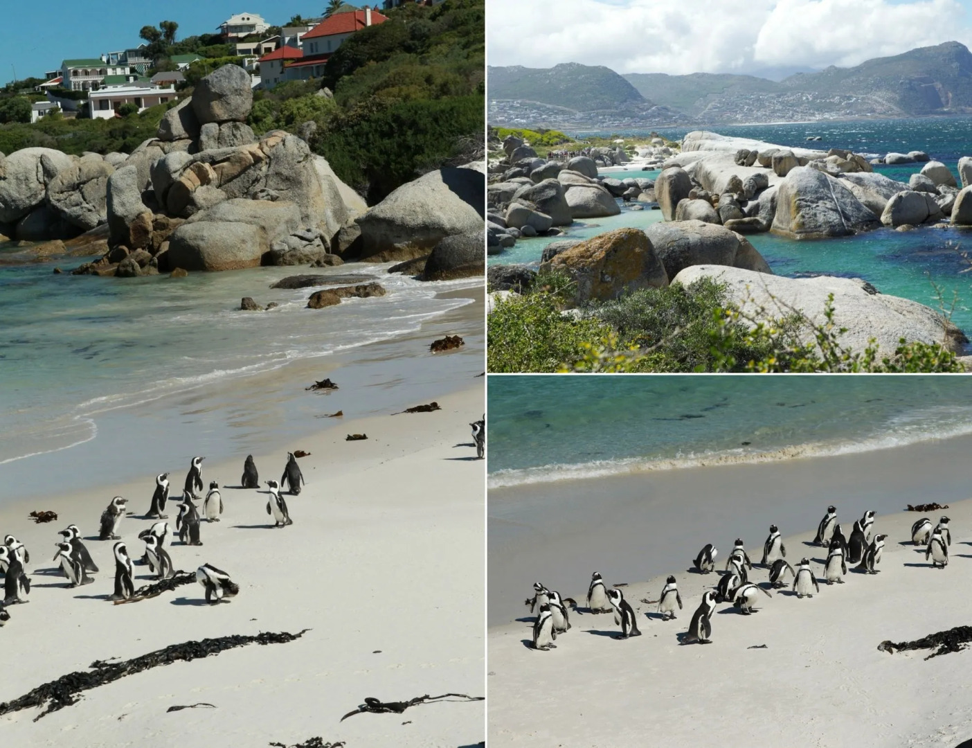 Foto - Mariner Guesthouse & Villa