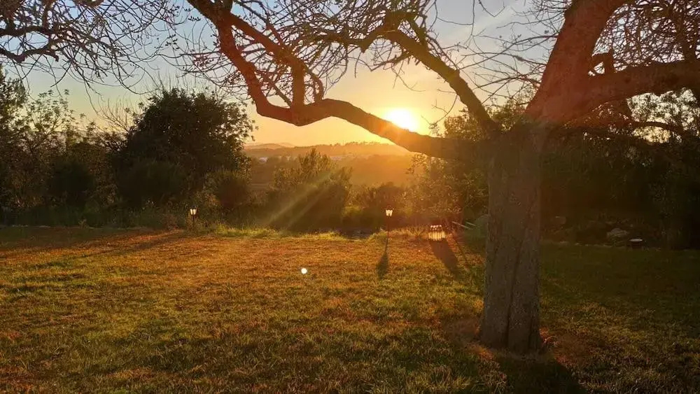 Foto - Agroturismo Can Marquet - Adults Only