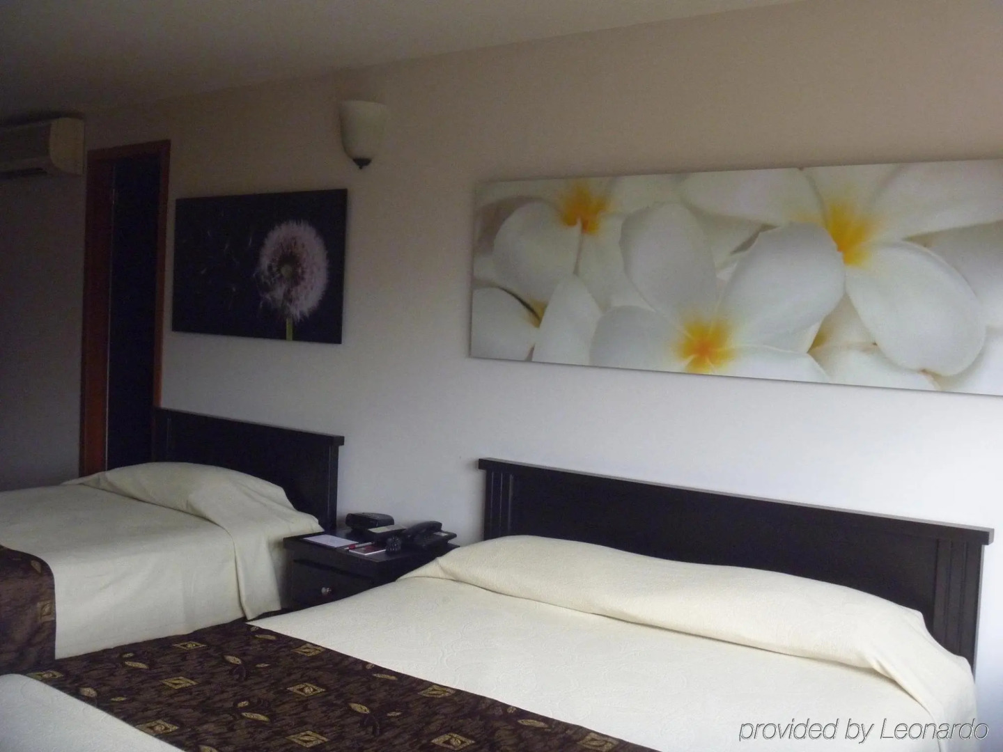 Foto - Socialtel Medellin