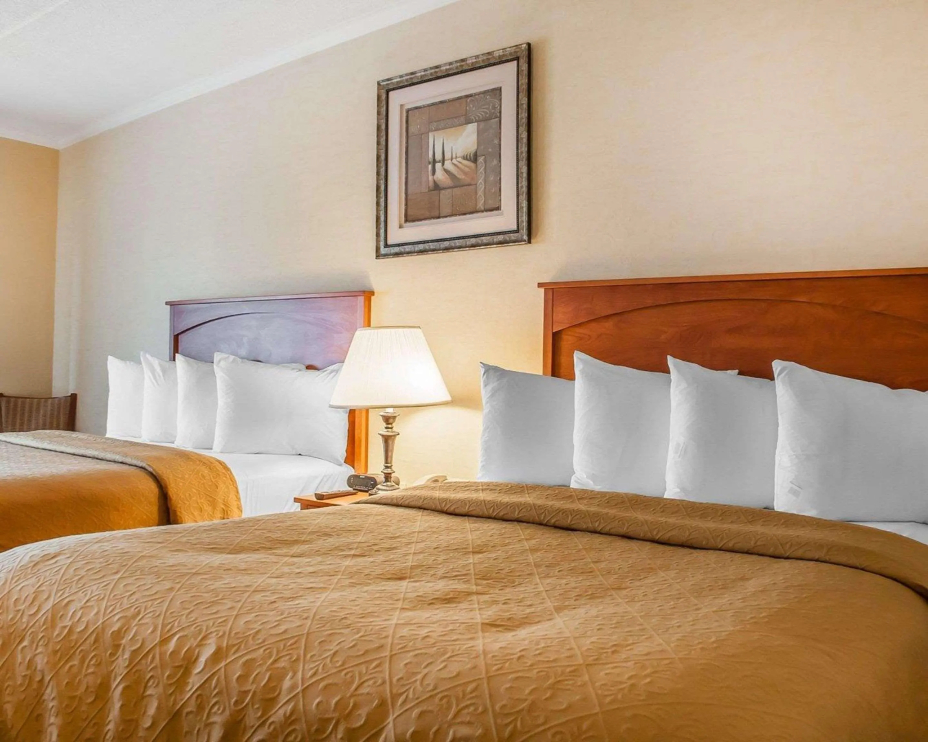 Foto - Quality Hotel & Suites At The Falls