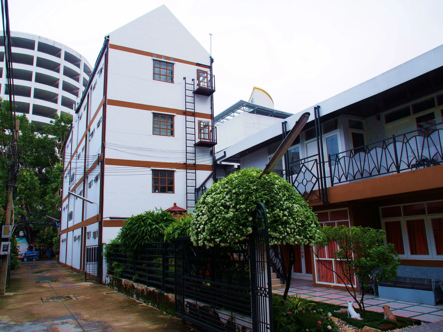 Photo - White Lodge Hotel Bangkok