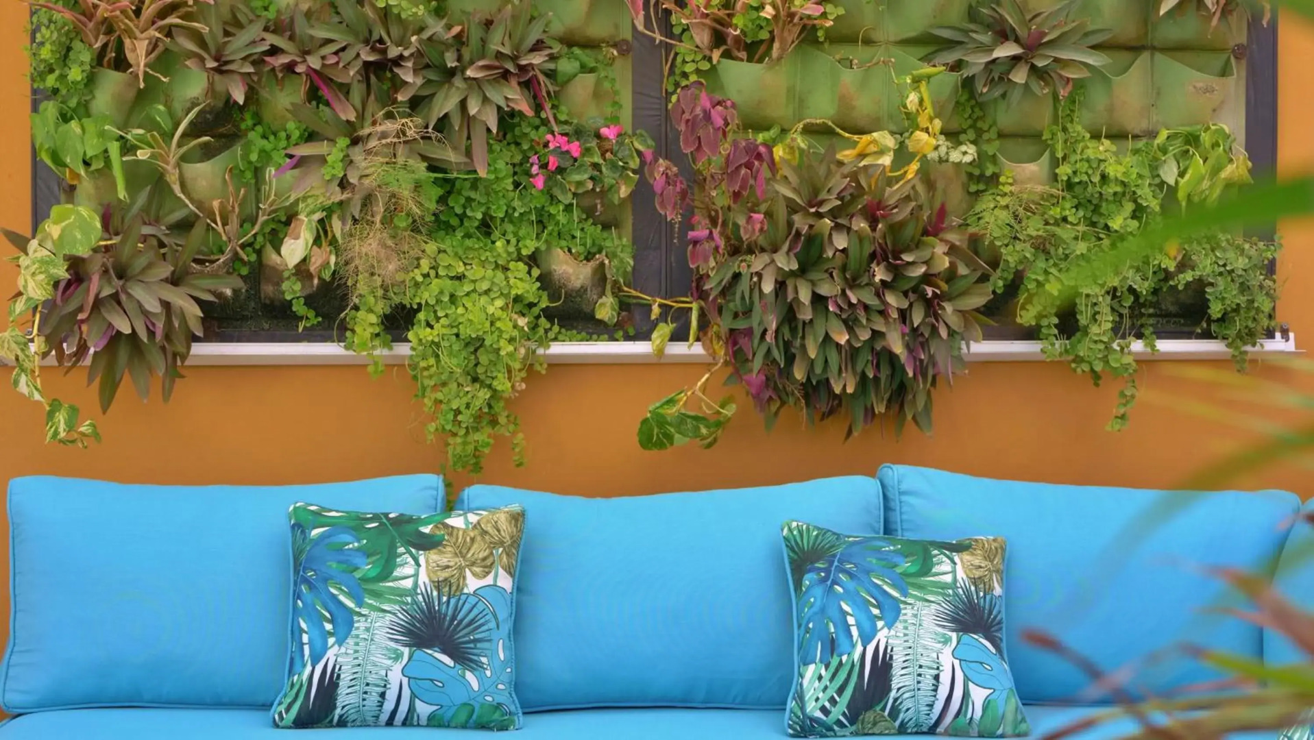 Foto - Bungalows Los Almendros - Exclusive Vacation Club