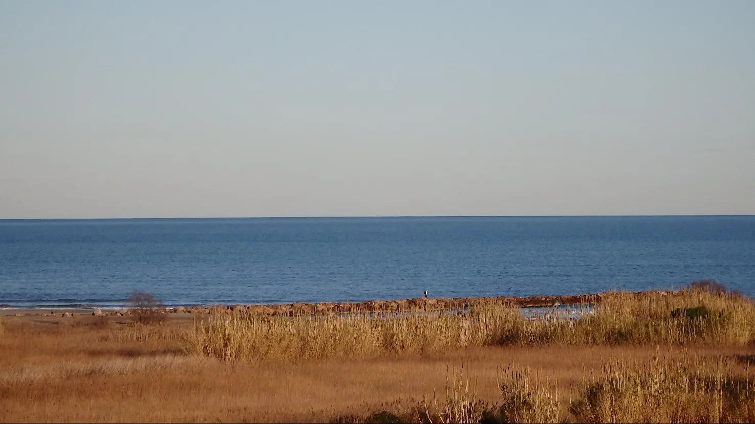 Photo - Flag Hotel Valencia