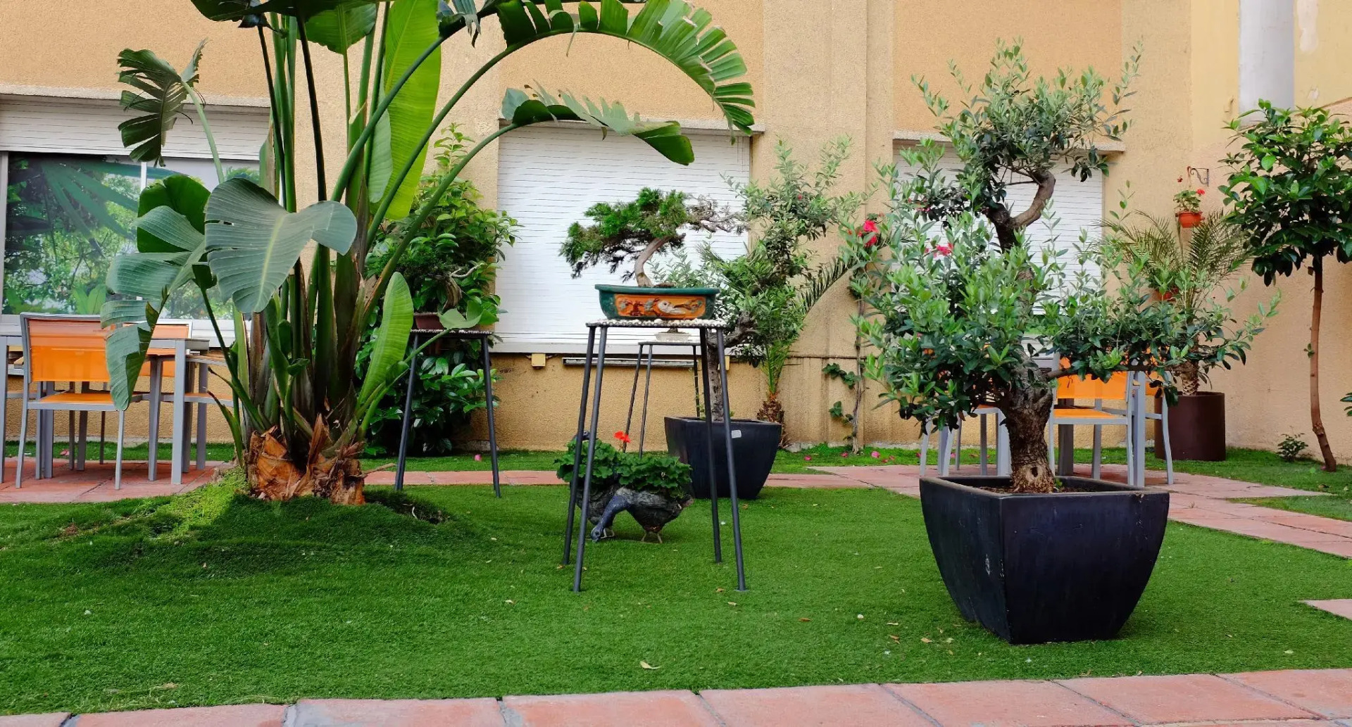 Foto - Aparthotel Silver