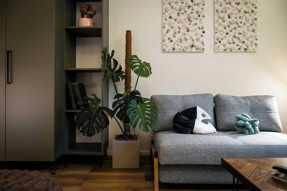 Photo - Urban Jungle Apartments