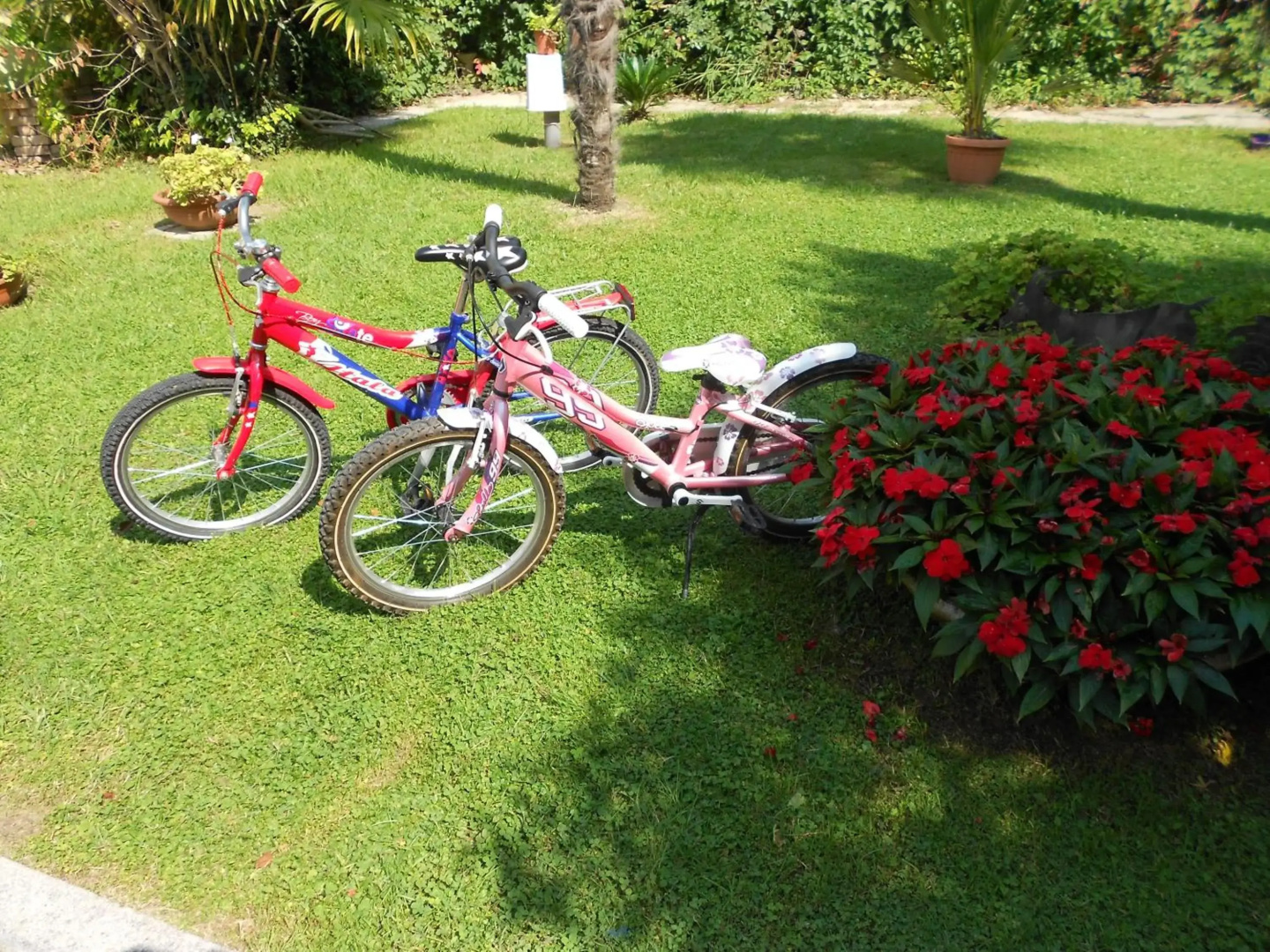 Foto - Hotel Adria