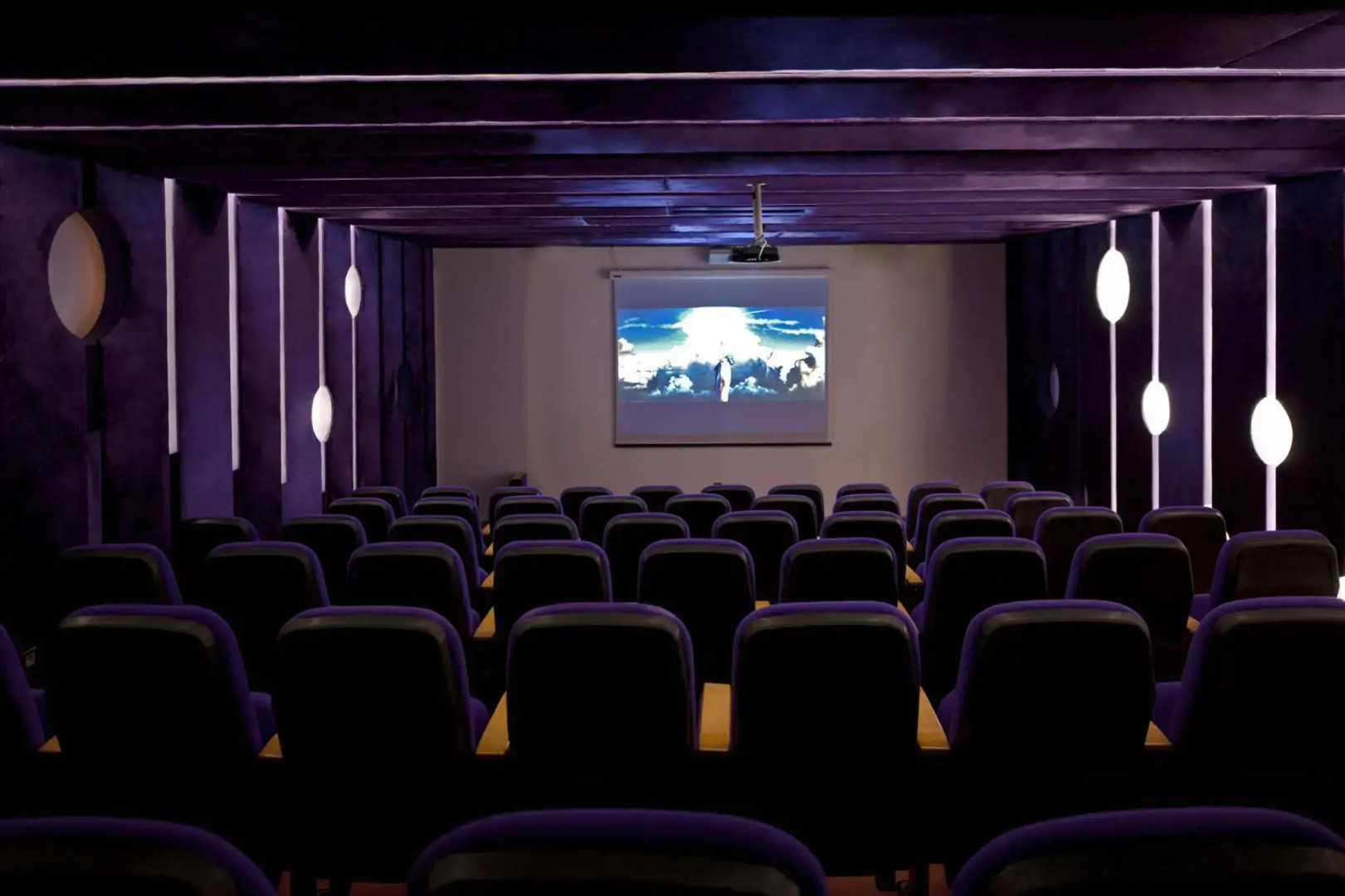 Foto - Delphin Imperial Lara