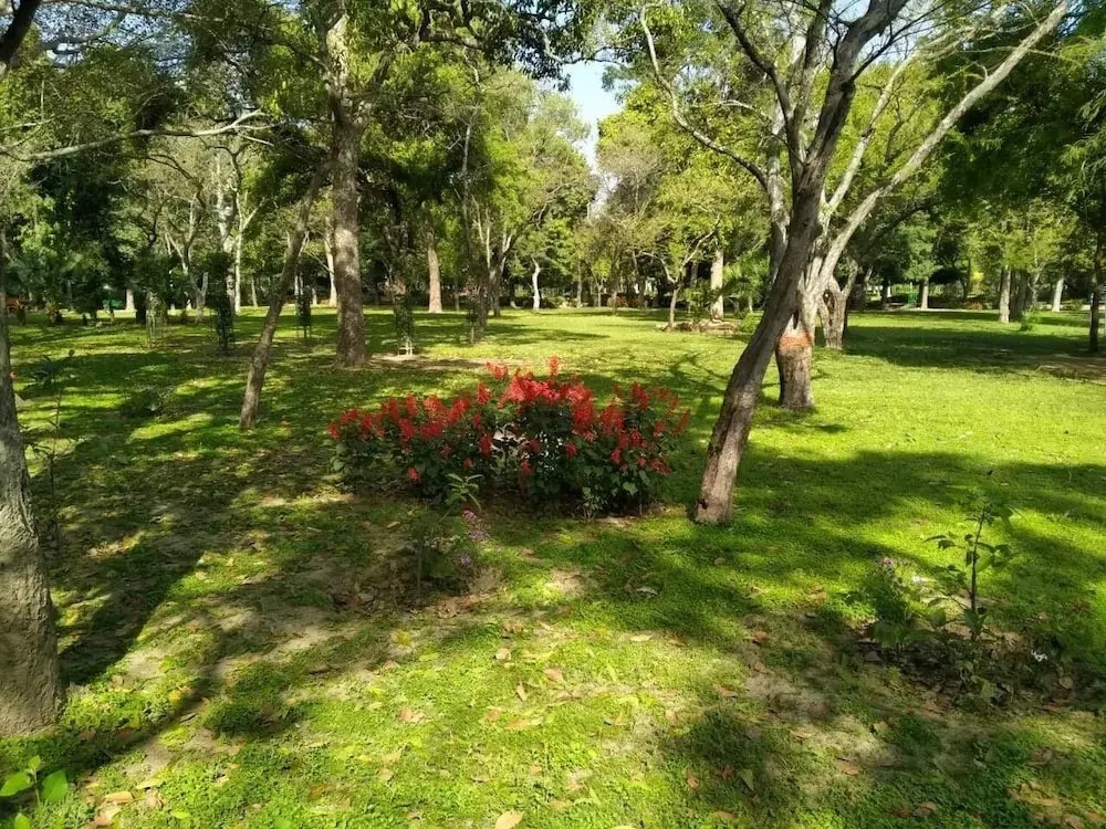 Photo - Hotel Traditional Inn