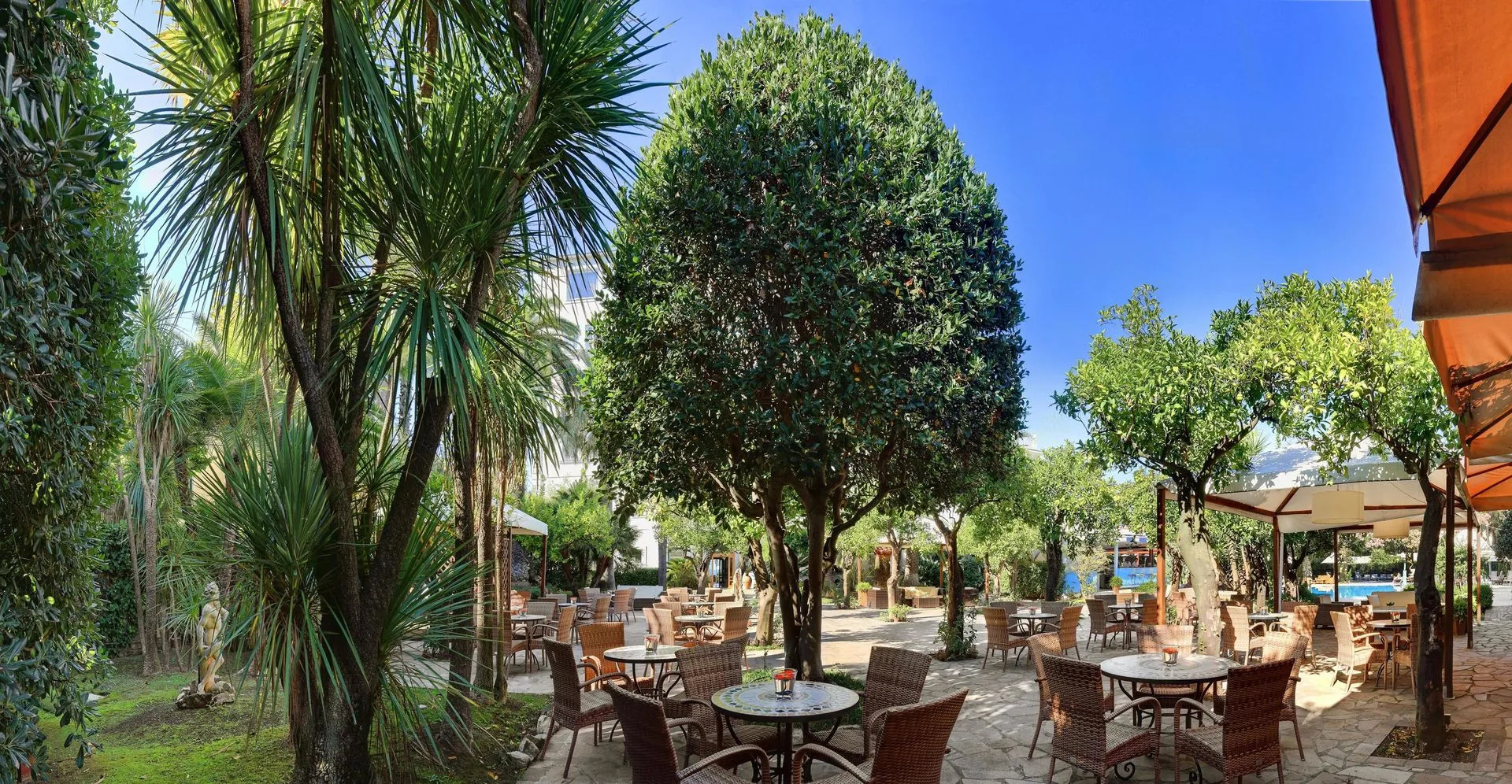 Foto - Hotel Mediterraneo Sorrento