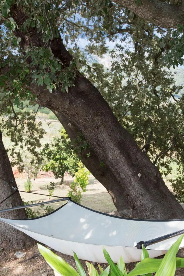 Foto - Finca Son Ametler