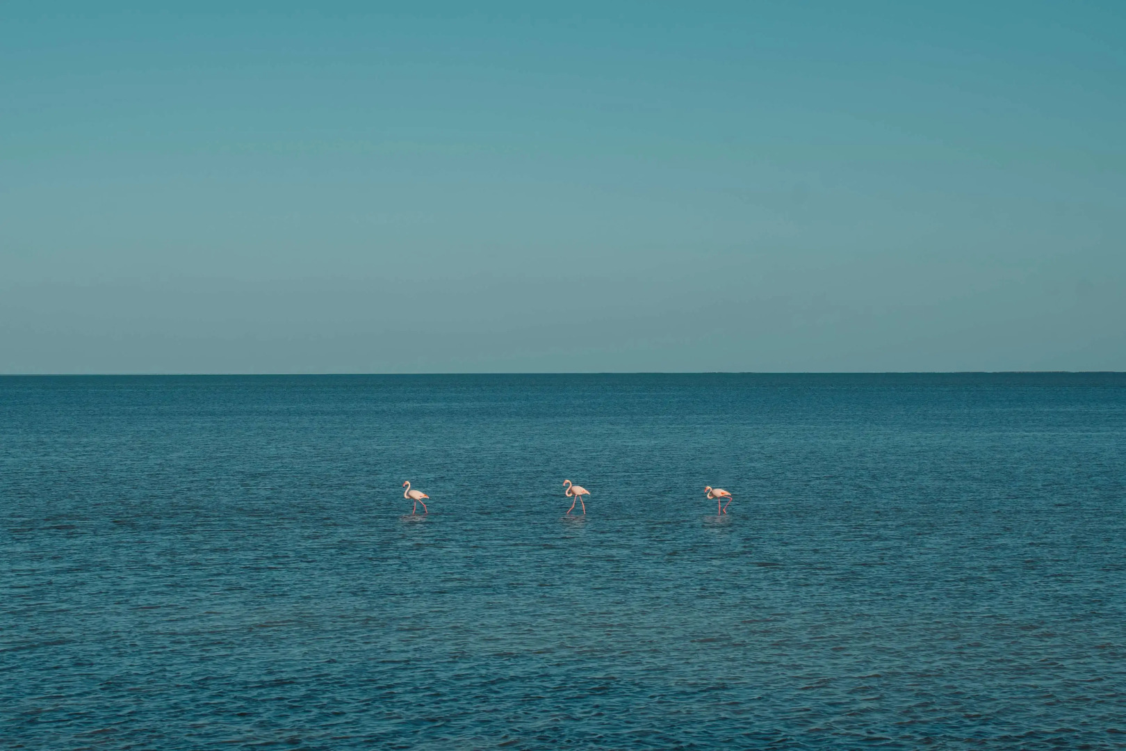 Foto - Radisson Blu Palace Resort & Thalasso, Djerba