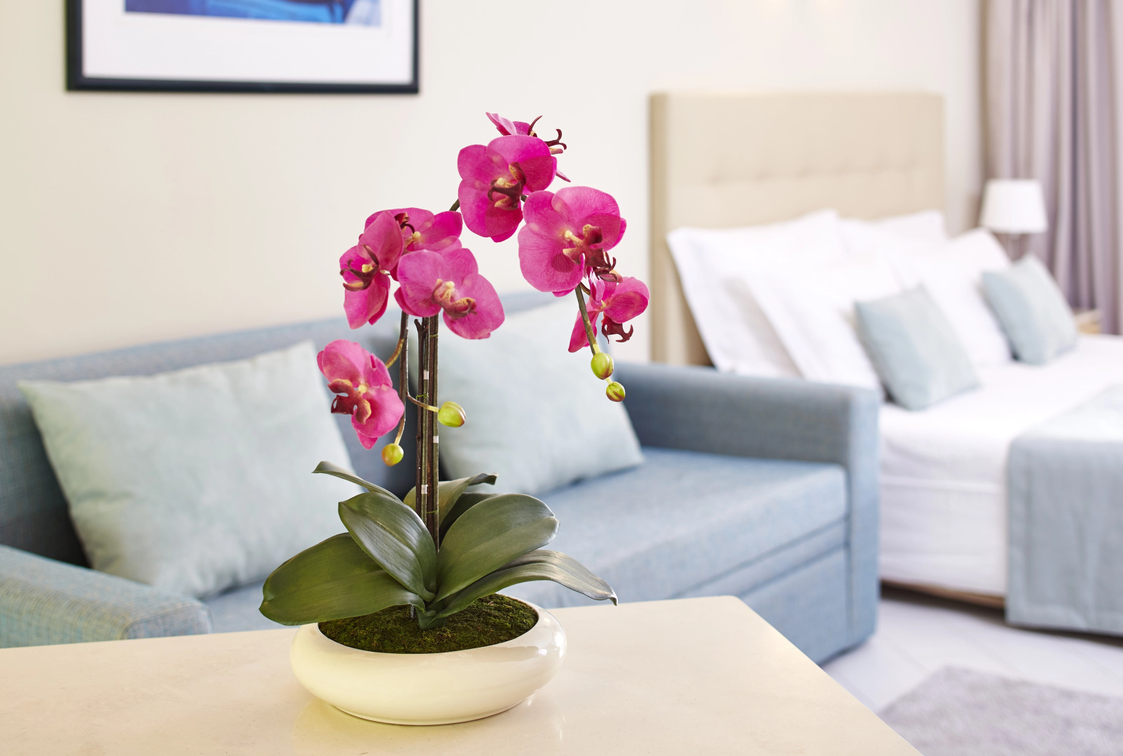 Foto - Luna Clube Oceano