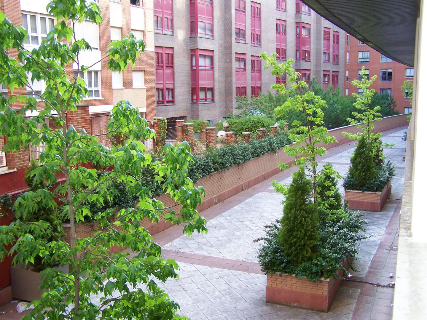 Foto - Washington Parquesol Suites & Hotel