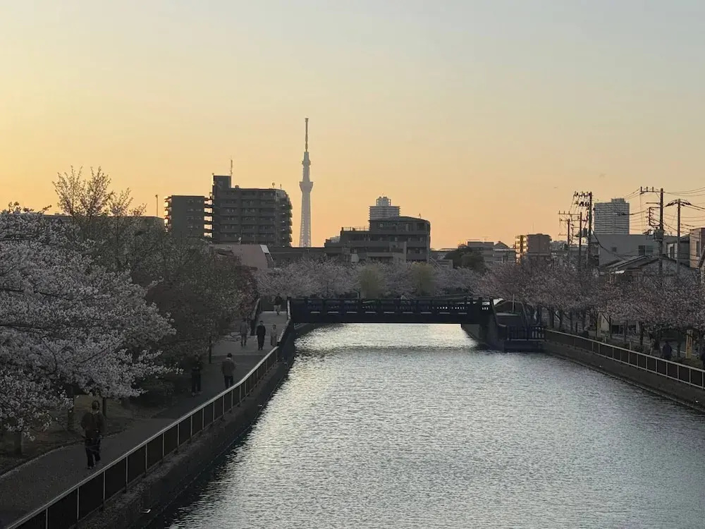 Foto - Nakakasai Kodate