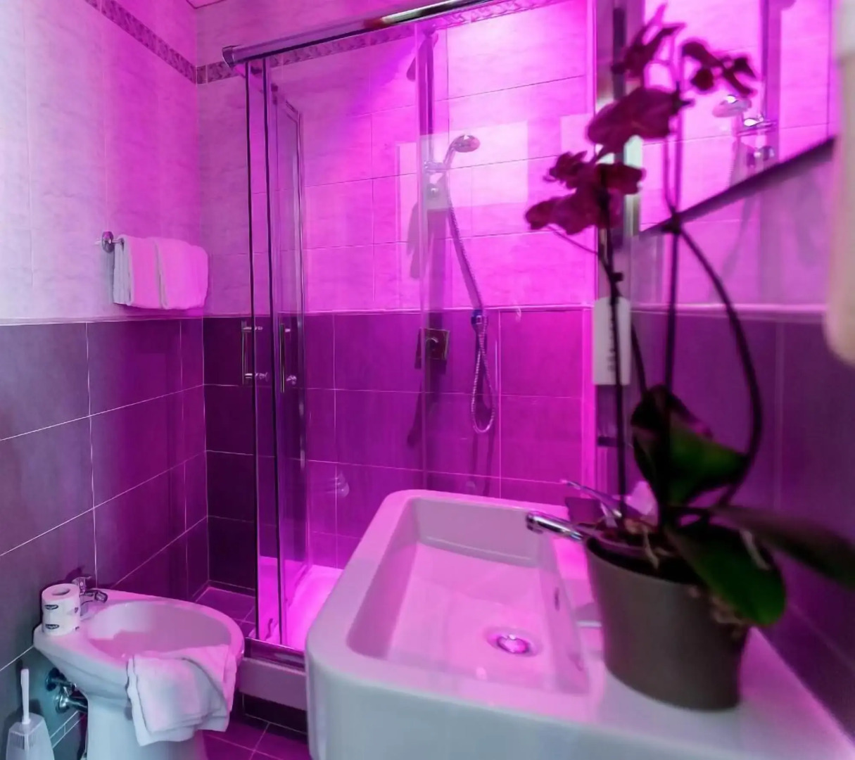 Foto - Hotel Gabriella