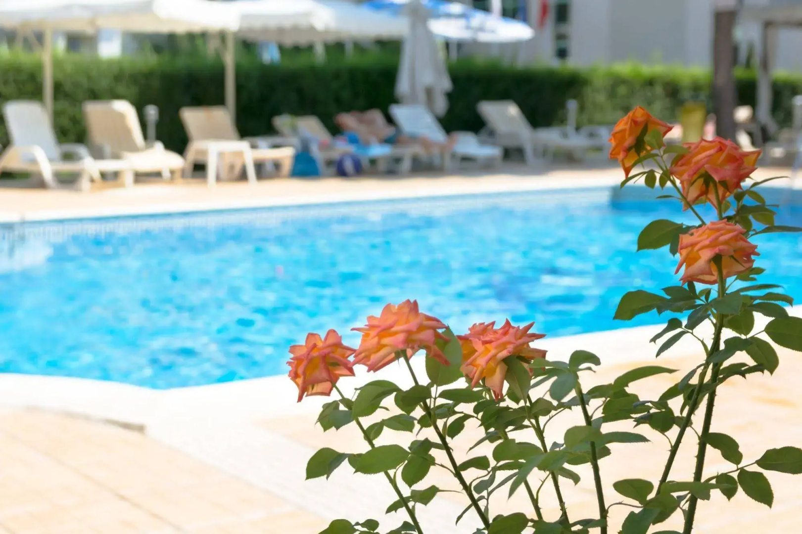 Photo - Karlovo Hotel