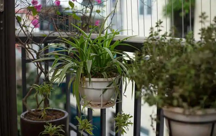 Foto - YR Hotel & Apartments