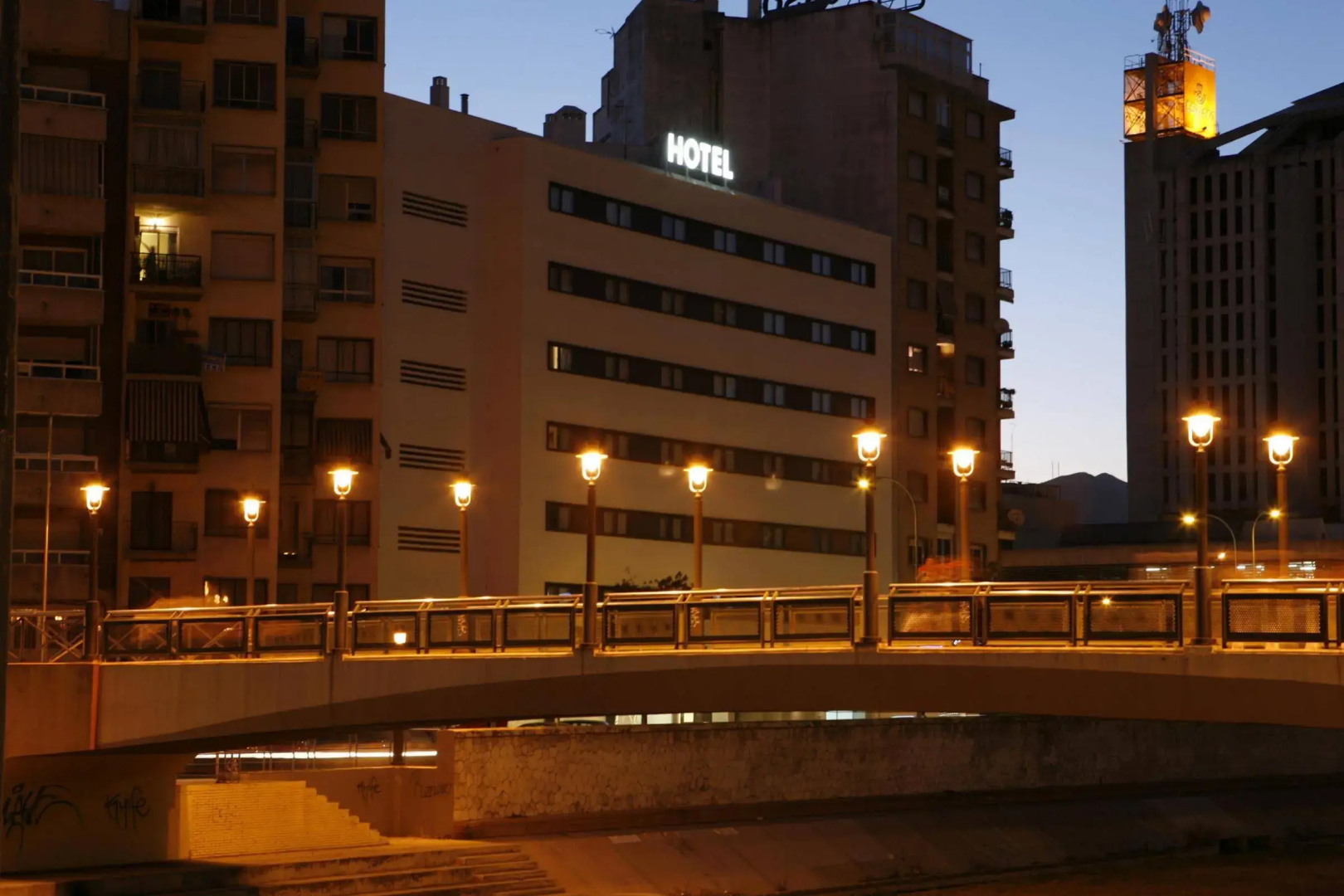 Photo - Hotel Guadalmedina