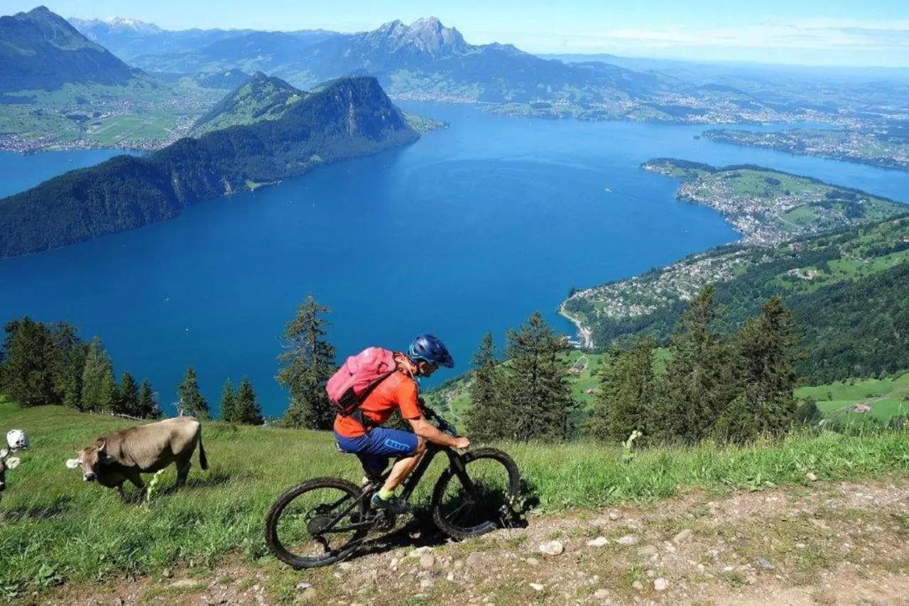 Photo - Hotel Continental Park