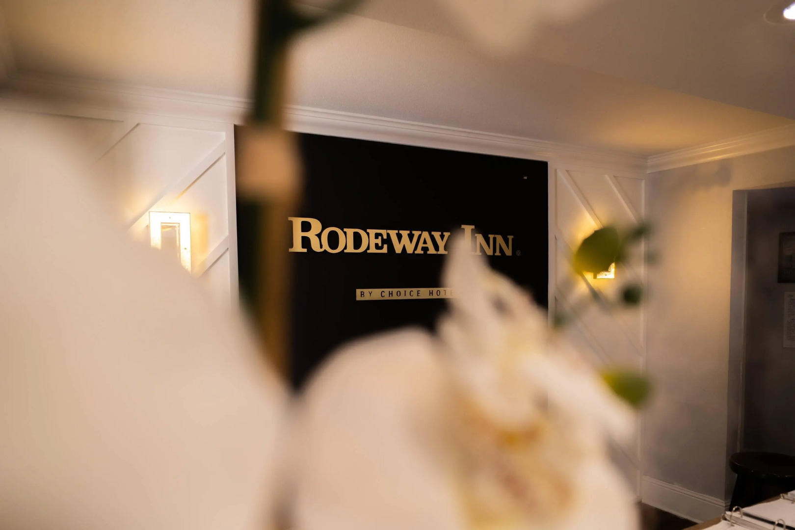 Photo - Rodeway Inn Near Ybor City - Casino
