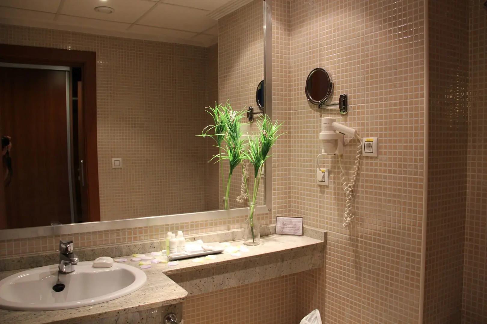 Foto - Hotel Sun Palace Albir & Spa