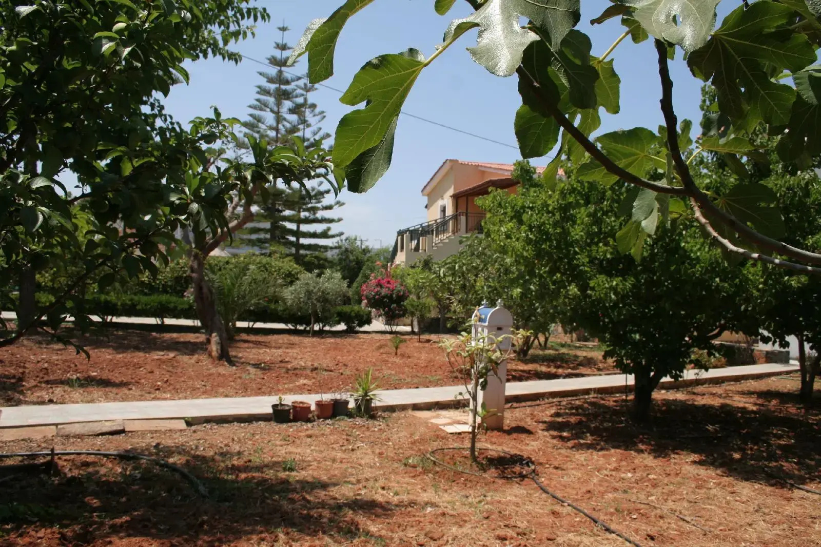 Foto - Villa Medusa