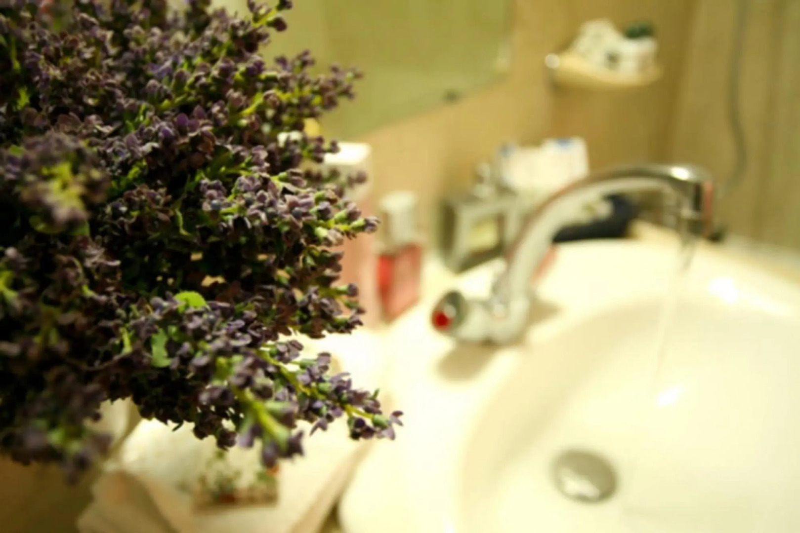 Photo - Almarine Eiffel Hotel & Spa by Malone