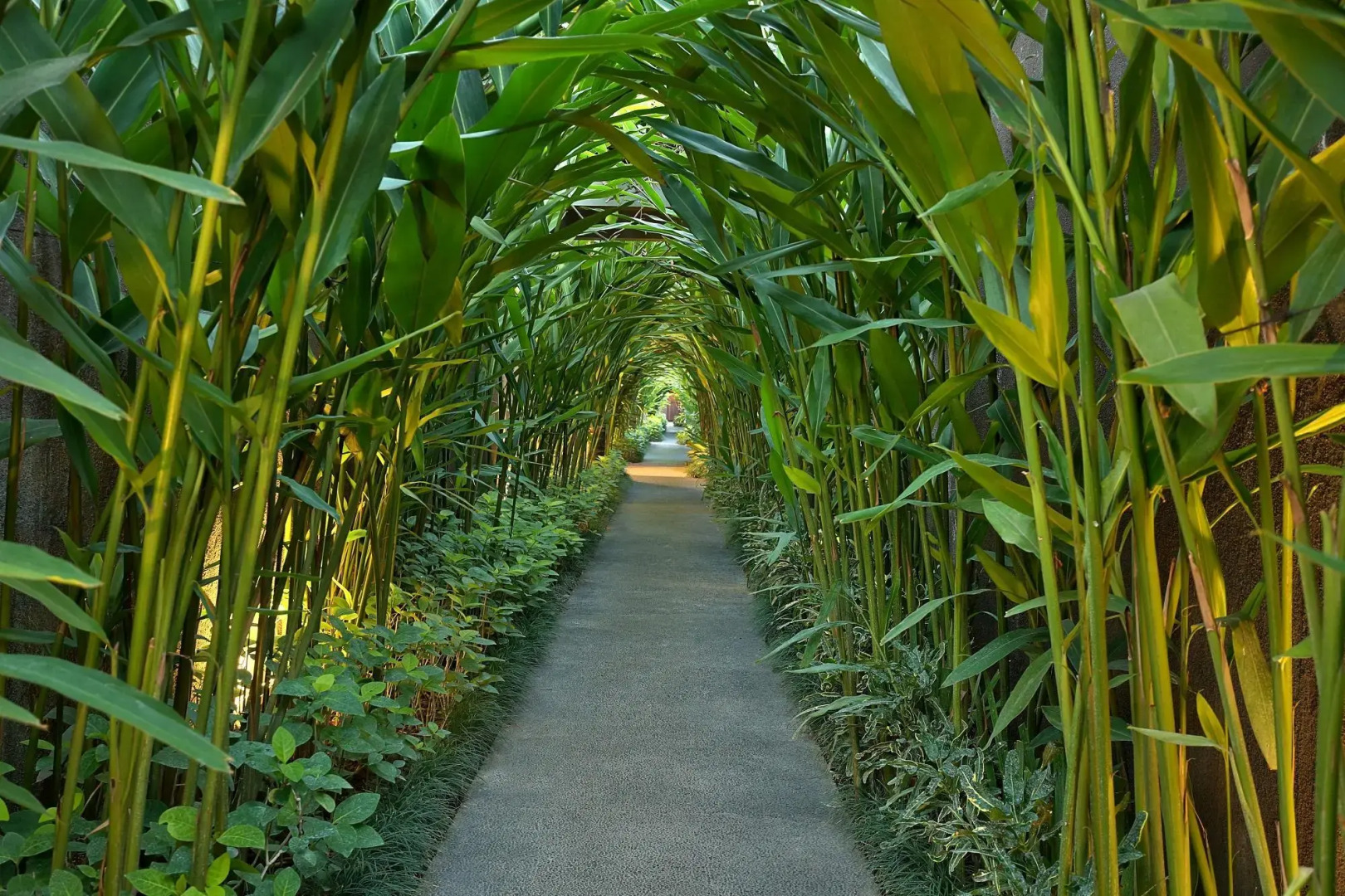 Foto - Ziva a Boutique Villa