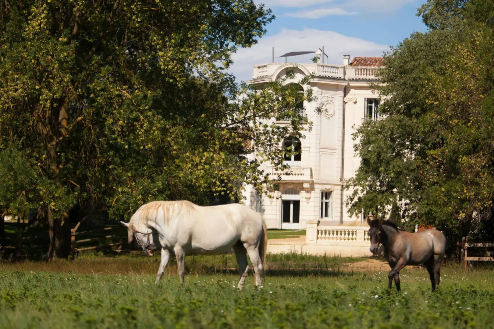 Foto - Hôtel Domaine de Biar