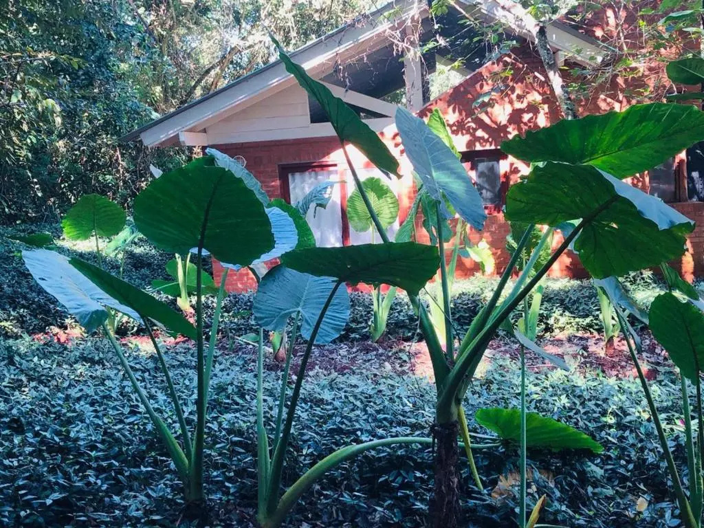Foto - Raices Amambai Lodges