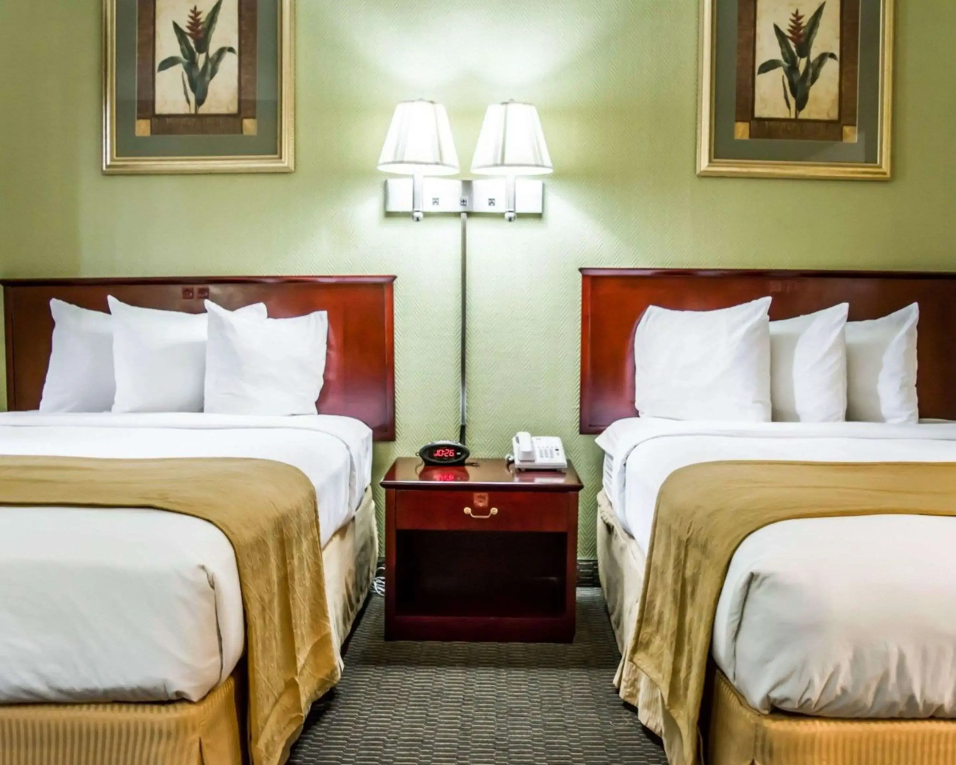 Foto - Quality Inn Tampa Airport - Cruise Port