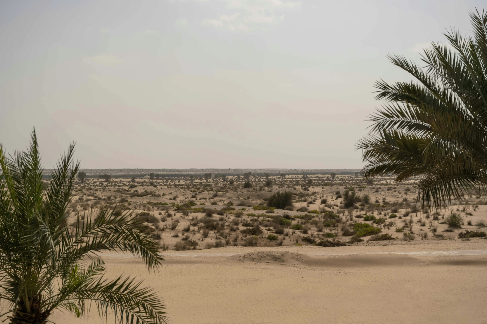 Foto - Bab Al Shams - A Rare Finds Desert Resort