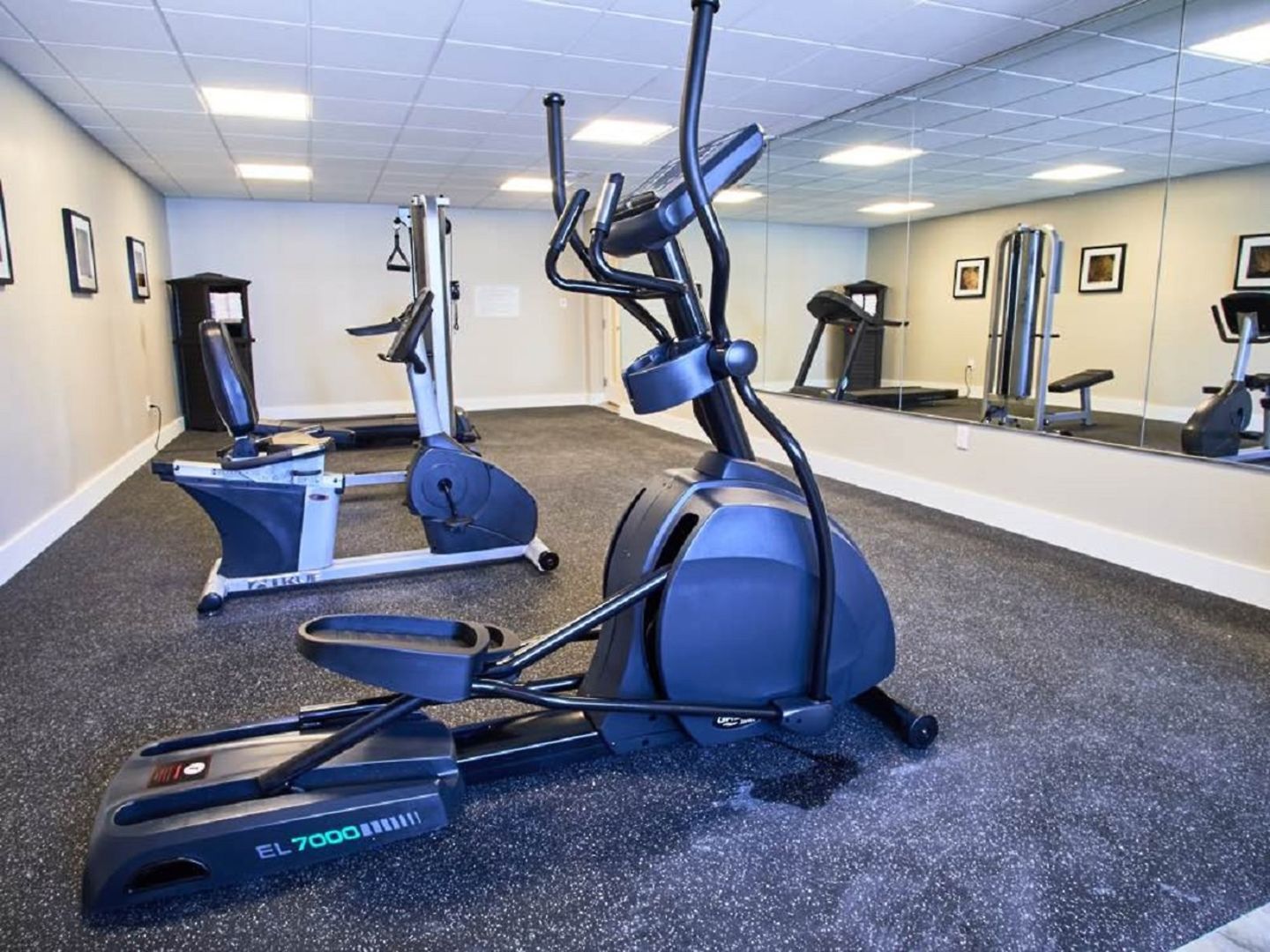 Foto - Palm Tree Club Miami