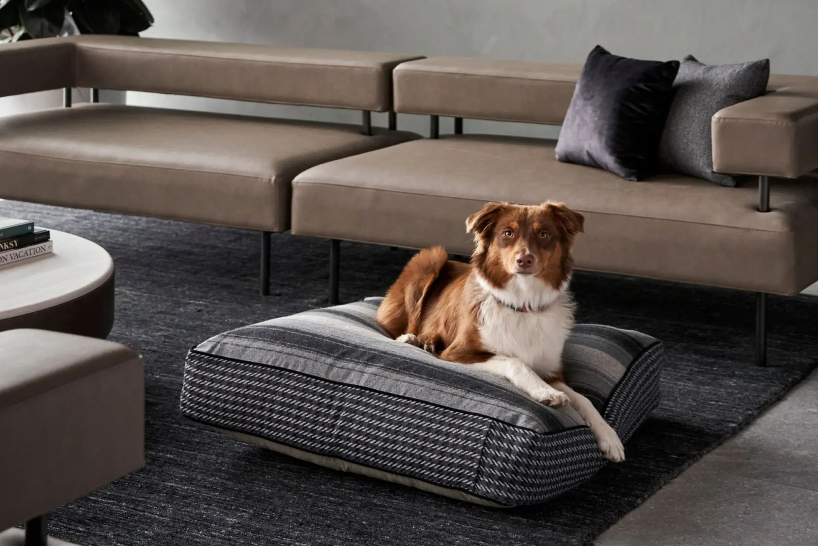 Foto - AC Hotel by Marriott Melbourne Southbank