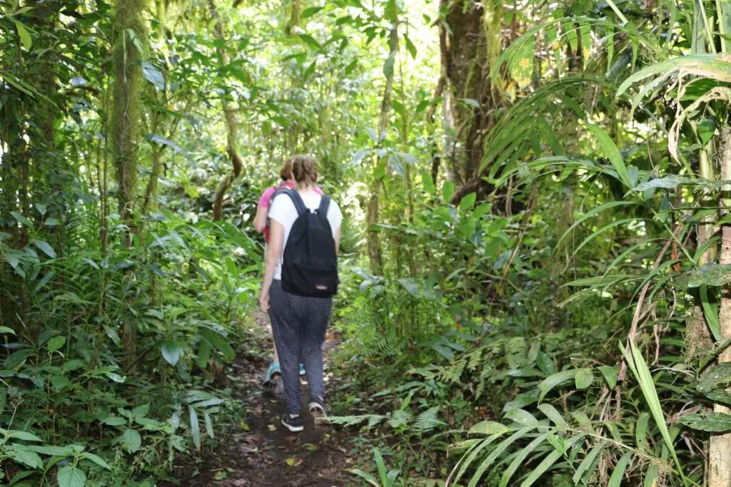 Foto - Shanti Natural Panorama View Hotel